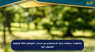 «خطوات سهلة» رابط الاستعلام عن حساب المواطن 1446 وكيفية الوصول إليه